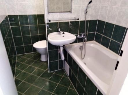 Pronájem bytu, 1+kk, 21 m²