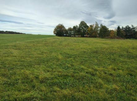 Prodej stavebního pozemku 797 m2 Dětřichov 