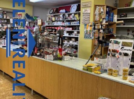 Pronájem obchodní prostor, 230 m²