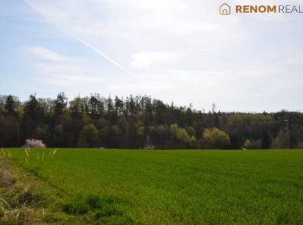 Prodej domu/vily, 98 m²