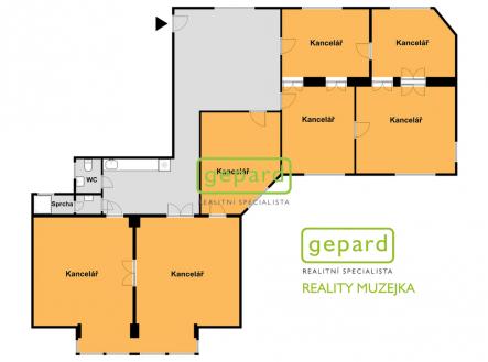 Pronájem kanceláře, 206 m²