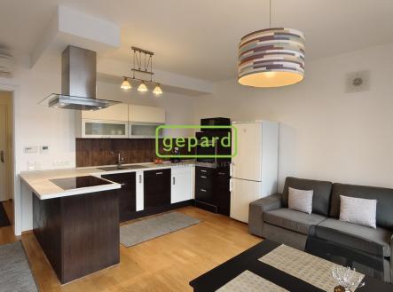 Pronájem bytu, 2+kk, 47 m²