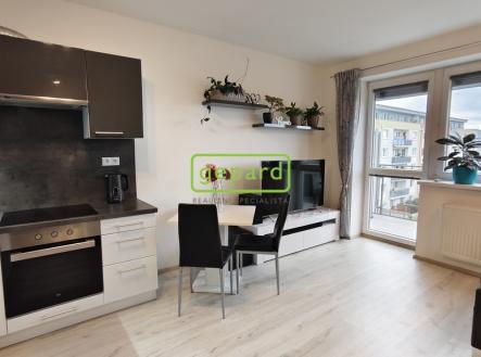 Pronájem bytu, 1+kk, 40 m²