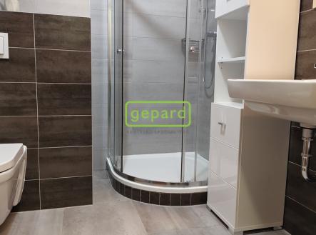 Pronájem bytu, 1+kk, 40 m²