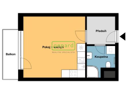 Pronájem bytu, 1+kk, 40 m²