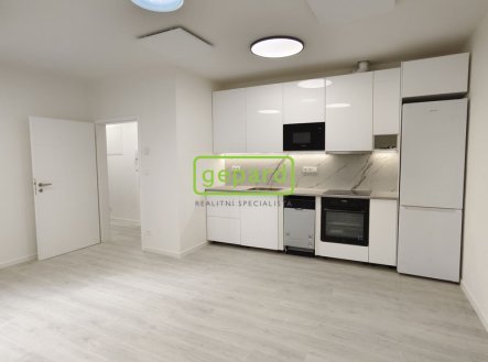 Pronájem bytu, 3+kk, 65 m²