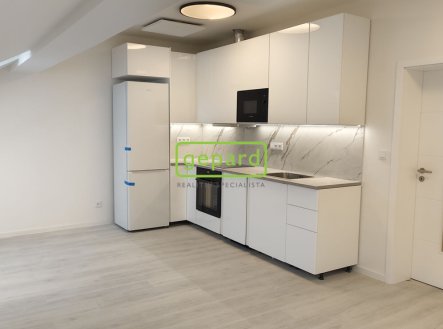 Pronájem bytu, 2+kk, 54 m²