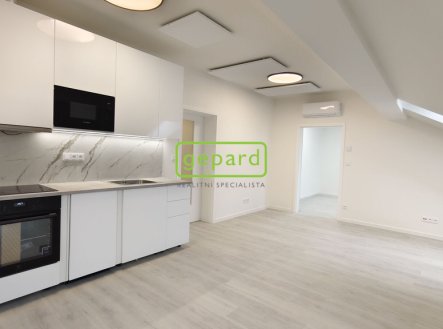 Pronájem bytu, 2+kk, 54 m²
