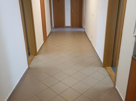 Pronájem kanceláře, 24 m²