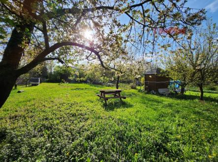 Pronájem pozemku, zahrada, 84 m²