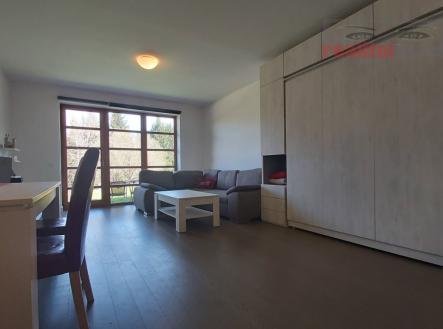 Prodej bytu, 1+kk, 49 m²