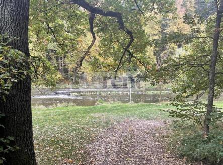 Prodej pozemku, les, 13 319 m²