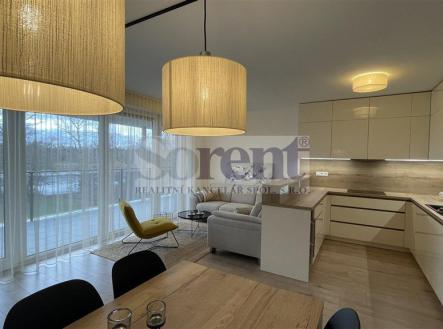 Pronájem bytu, 4+kk, 103 m²