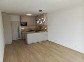 Pronájem bytu, 2+kk, 57 m²