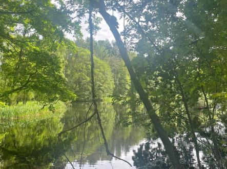 Prodej - pozemek, trvalý travní porost, 360 000 m²