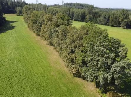 Prodej pozemku, trvalý travní porost, 4 295 m²