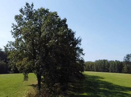 Prodej pozemku, trvalý travní porost, 4 295 m²