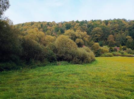 Prodej - pozemek pro bydlení, 4 166 m²