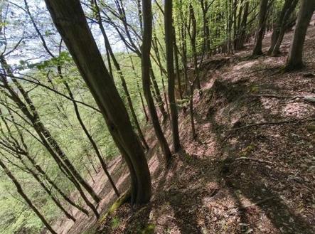 Prodej pozemku, les, 26 738 m²