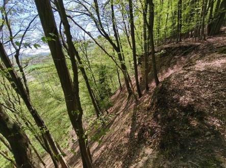 Prodej pozemku, les, 26 738 m²