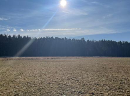 Prodej pozemku, les, 27 831 m²