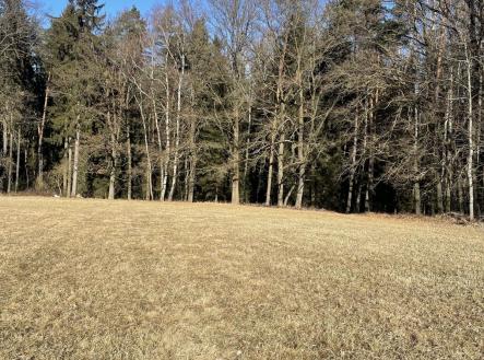 Prodej pozemku, les, 27 831 m²