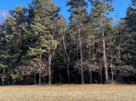 Prodej pozemku, les, 27 831 m²