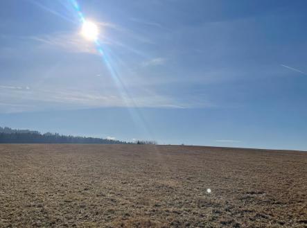 Prodej pozemku, les, 27 831 m²