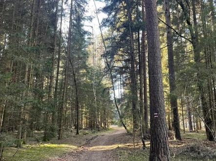 Prodej pozemku, les, 27 831 m² obrázek