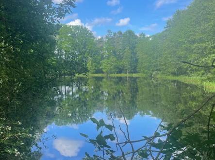 Prodej pozemku, trvalý travní porost, 389 696 m²