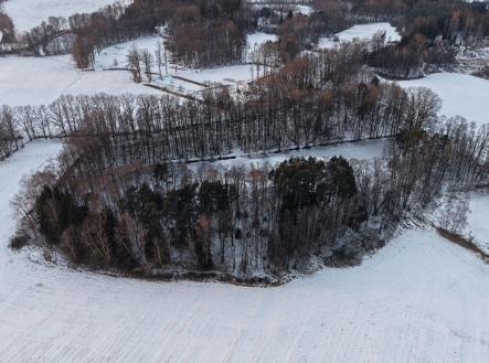 Prodej pozemku, les, 389 696 m²