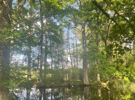 Prodej pozemku, les, 389 696 m²