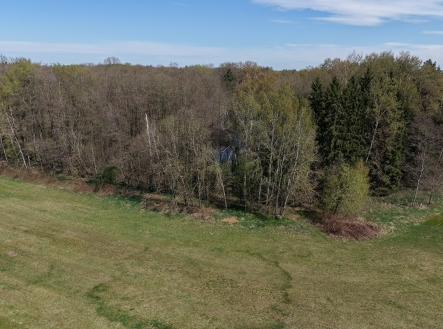 Prodej pozemku, les, 389 696 m²