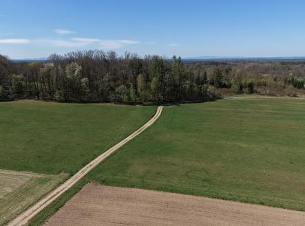 Prodej pozemku, les, 389 696 m²