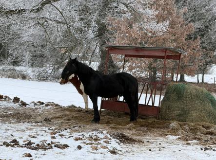 Prodej domu/vily, 1 140 m²