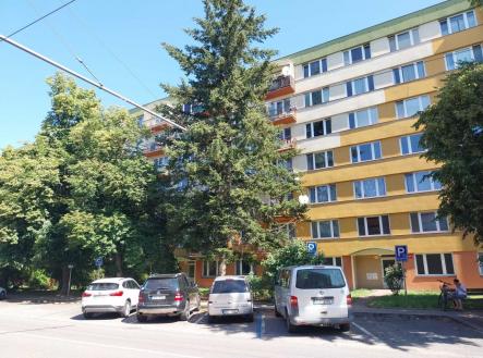 Pronájem bytu, 1+kk, 21 m²