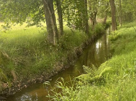 Prodej souboru pozemků 6ha - rybníky, les, ostatní plocha - Třeboňsko