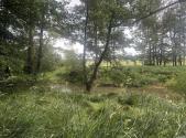 Prodej pozemku, zemědělská půda, 27 326 m²