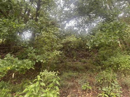 Prodej pozemku, ostatní, 3 546 m²