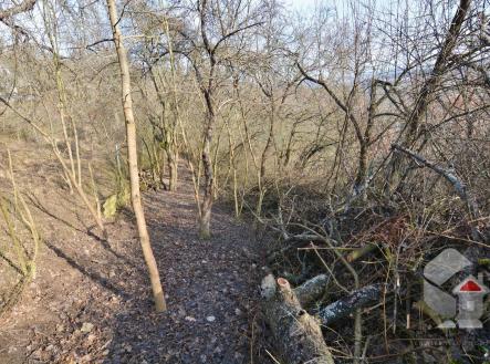 Prodej pozemku, zahrada, 207 m²