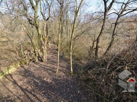 Prodej pozemku, zahrada, 207 m²