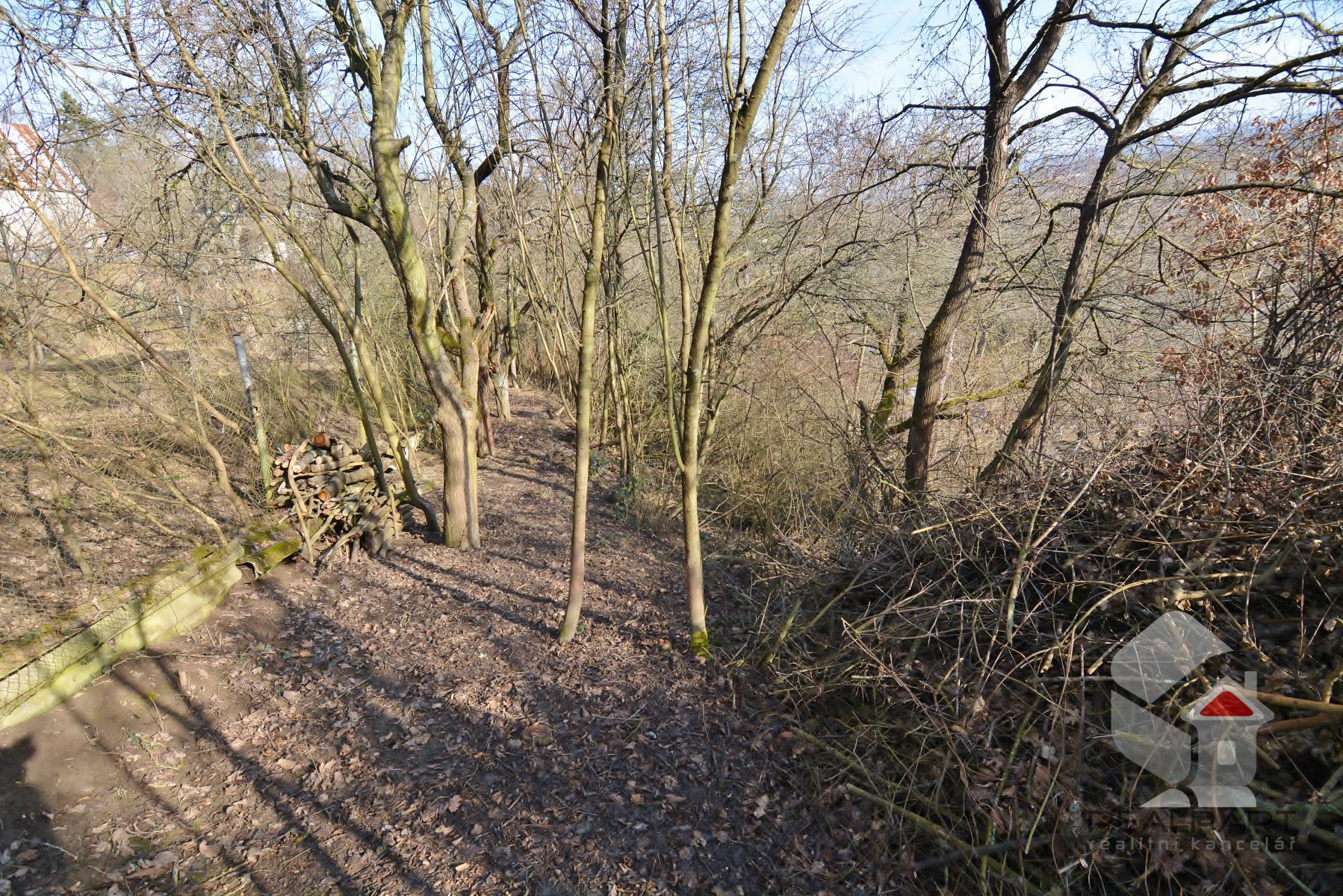 DSC_0664.JPG