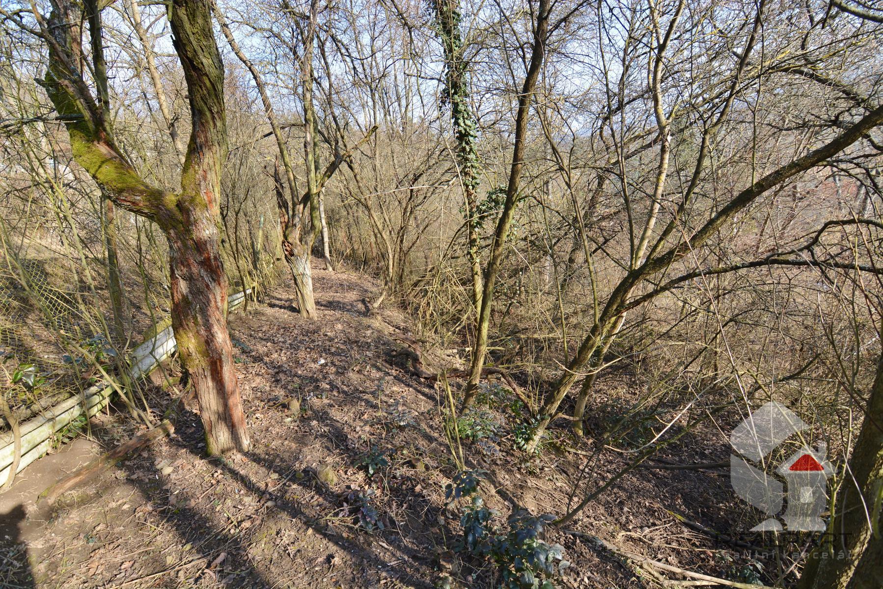DSC_0665.JPG