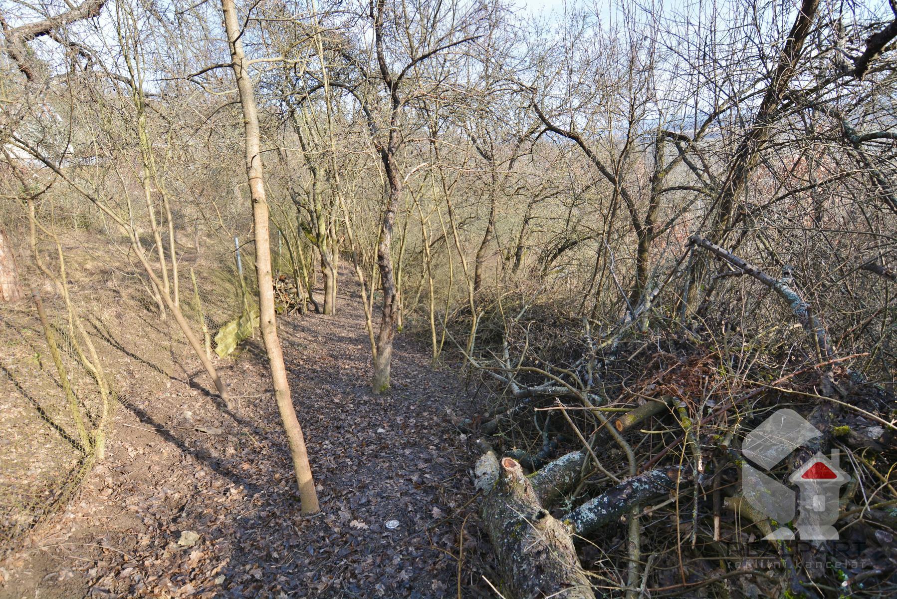 DSC_0661.JPG