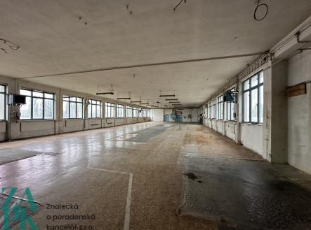 Pronájem komerčního objektu, sklad, 1 000 m²