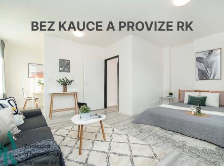 Pronájem bytu, 1+kk, 33 m²