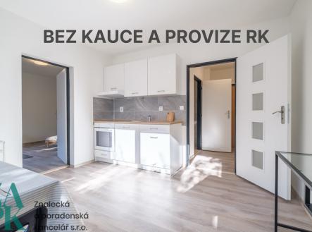 Pronájem bytu, 1+1, 38 m²