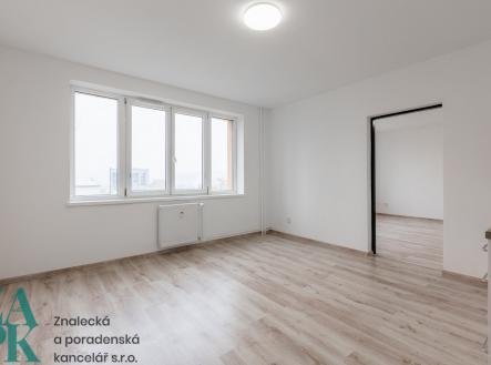 Pronájem bytu, 1+1, 47 m²