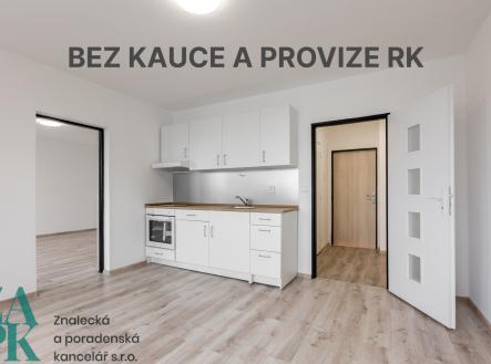 Pronájem bytu, 1+1, 47 m²