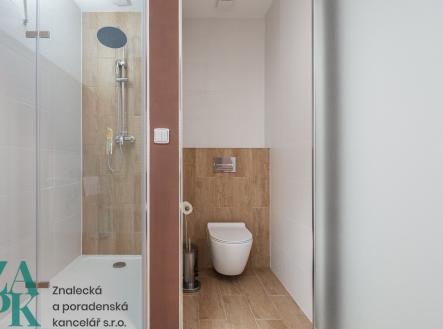 Pronájem bytu, 1+kk, 22 m²